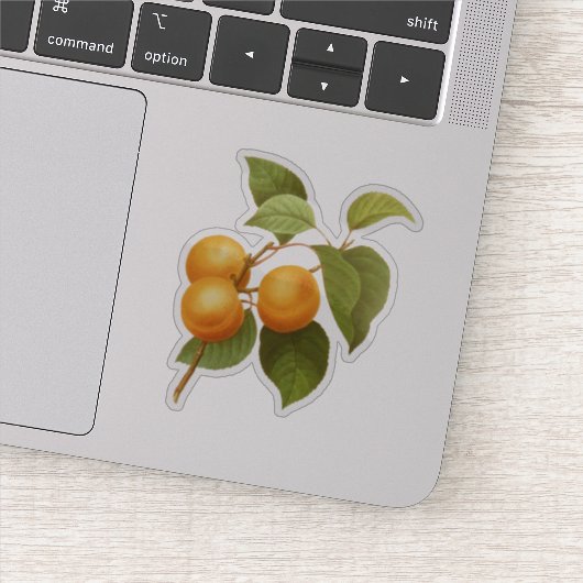ヴィンテージオレンジアプリコッツウォーターカラースケッチ シール (詳細)