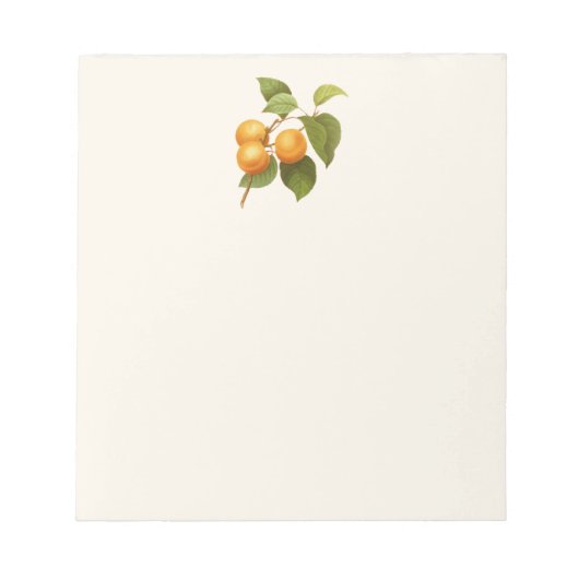 ヴィンテージオレンジアプリコッツウォーターカラースケッチ ノートパッド (正面)