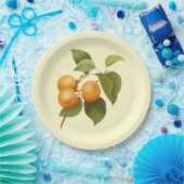 ヴィンテージオレンジアプリコッツウォーターカラースケッチ ペーパープレート (パーティー)