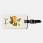 ヴィンテージオレンジアプリコッツウォーターカラースケッチ ラゲッジタグ (正面横)