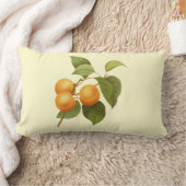 ヴィンテージオレンジアプリコッツウォーターカラースケッチ ランバークッション (ブランケット)