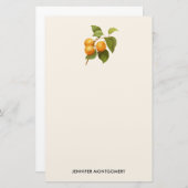 ヴィンテージオレンジアプリコッツウォーターカラースケッチ 便箋 (正面/裏面)