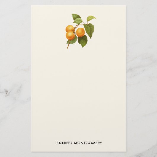 ヴィンテージオレンジアプリコッツウォーターカラースケッチ 便箋 (正面)
