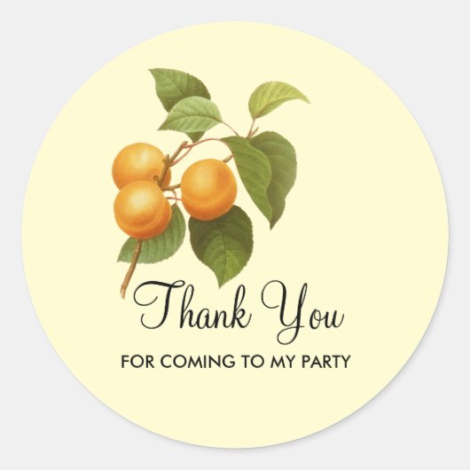 ヴィンテージオレンジアプリコッツウォーター色スケッチパーティー ラウンドシール (正面)