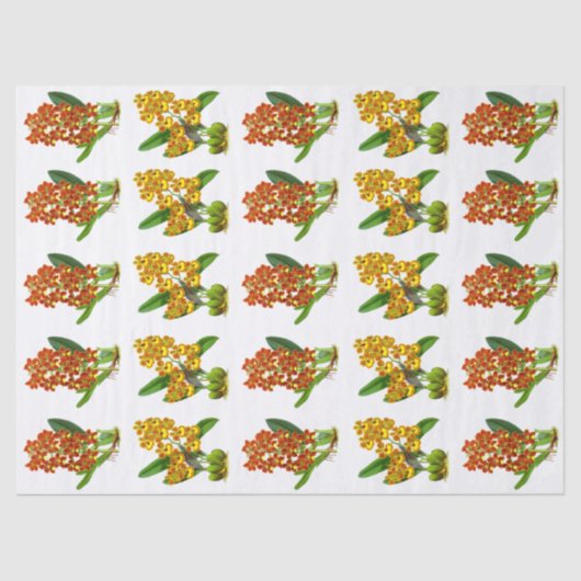 ヴィンテージオレンジイエローエキゾチック蘭の花 薄葉紙 (正面)