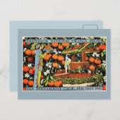 ヴィンテージオレンジショーエキスポ サンバーナーディーノ ポストカード (正面/裏面)