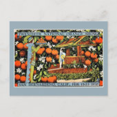 ヴィンテージオレンジショーエキスポ サンバーナーディーノ ポストカード (正面)