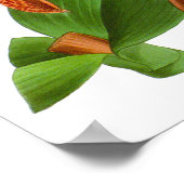 ヴィンテージオレンジパープルオーキッドフラワー – ポスター (角)