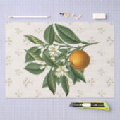 ヴィンテージオレンジフルーツブロッサムベージュ 薄葉紙 (クラフト)