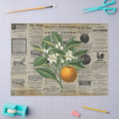ヴィンテージオレンジフルーツ園芸アッドエフェメラ 薄葉紙 (クラフト)