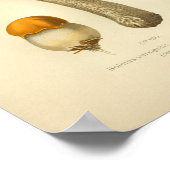 ヴィンテージオレンジブラウンマッシュルームアートプリント フランスの ポスター (角)