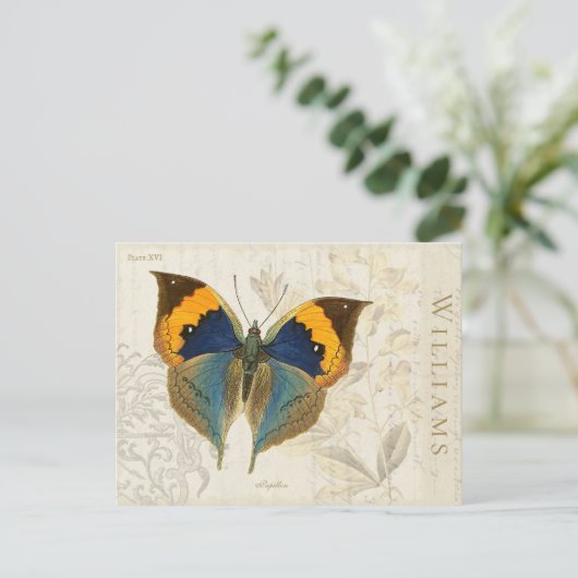 ヴィンテージオレンジブルーバタフライ植物はがき ポストカード (スタンド正面)