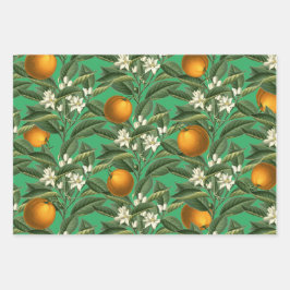 ヴィンテージオレンジ果実花パターン ラッピングペーパーシート