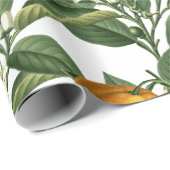 ヴィンテージオレンジ果実花パターン ラッピングペーパー (ロールコーナー)