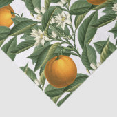 ヴィンテージオレンジ果実花パターン 薄葉紙 (詳細)