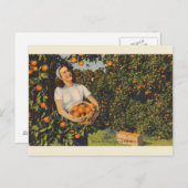 ヴィンテージオレンジ色のピッキング時間フロリダポストカード ポストカード (正面/裏面)