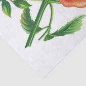 ヴィンテージオレンジ色の黄色い花の切り離し 薄葉紙 (詳細)