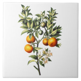 ヴィンテージオレンジ タイル