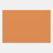 ヴィンテージオレンジ、緑、デイジーパターン ラッピングペーパーシート (正面3)