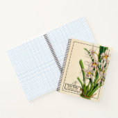 ヴィンテージオンシディウムナエビウムオーキッドノートブック ノートブック (内部)