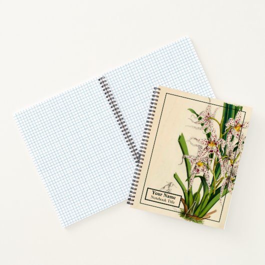 ヴィンテージオンシディウムナエビウムオーキッドノートブック ノートブック (内部)