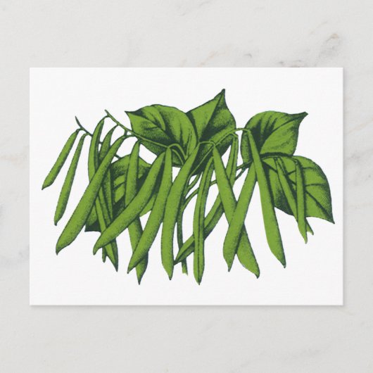 ヴィンテージオーガニック食品 ポストカード (正面)