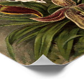 ヴィンテージオーキッドフラワーズバイエルンストヘッケル ポスター (角)