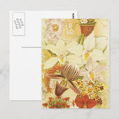 ヴィンテージオーキッドフラワーフラワーズアンティークフローラ ポストカード (正面/裏面)