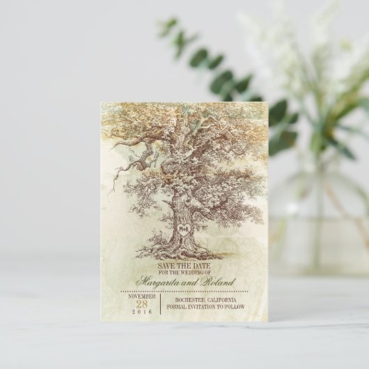 ヴィンテージオークの木は日付はがきを保存する 案内ポストカード (スタンド正面)