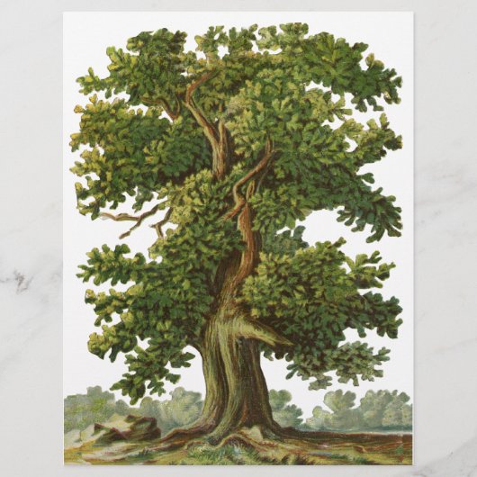 ヴィンテージオークツリーカスタムチラシ チラシ (正面)