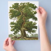 ヴィンテージオークツリーカスタムチラシ チラシ (手)