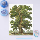 ヴィンテージオークツリーカスタムチラシ チラシ (シングル)