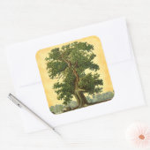 ヴィンテージオークツリーフェイクオンパーチメントシール スクエアシール (封筒)