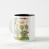 ヴィンテージオーストラリア海洋生物イラストレーション- g ツートーンマグカップ (正面左)