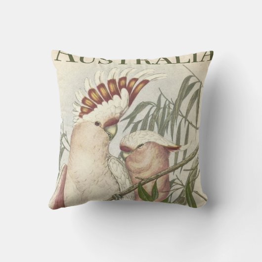 ヴィンテージオーストラリア装飾用クッション16インチx 16インチ クッション (裏面)