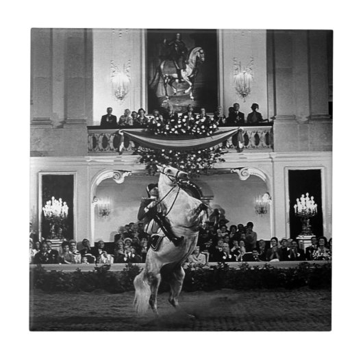 ヴィンテージオーストリアウィーンクールベスペインのット タイル (正面)