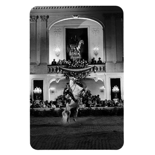 ヴィンテージオーストリアウィーンクールベスペインのット マグネット (縦)