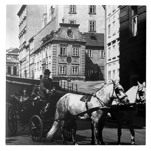 ヴィンテージオーストリアウィーンドレマダーラハウスフィエーカ タイル (正面)