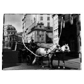 ヴィンテージオーストリアウィーンドレマダーラハウスフィエーカ ラージペーパーバッグ (正面)