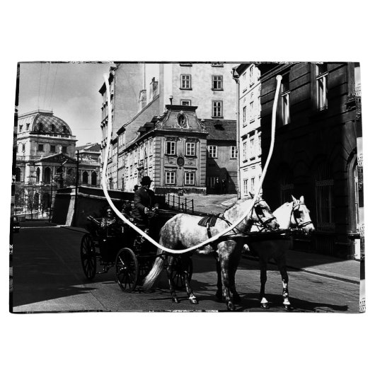 ヴィンテージオーストリアウィーンドレマダーラハウスフィエーカ ラージペーパーバッグ (正面)