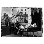 ヴィンテージオーストリアウィーンドレマダーラハウスフィエーカ ラージペーパーバッグ (裏面)