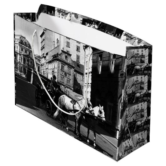 ヴィンテージオーストリアウィーンドレマダーラハウスフィエーカ ラージペーパーバッグ (裏面アングル)