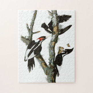 ヴィンテージオードボンアイボリーハングルペッカー絵画ズ ジグソーパズル