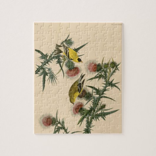 ヴィンテージオードボンアメリカン金魚絵画鳥 ジグソーパズル (縦)