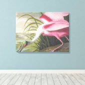 ヴィンテージオードボンイラストレーションスプーンビルバード キャンバスプリント (インサイチュ (ウッドフロア))