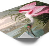 ヴィンテージオードボンイラストレーションスプーンビルバード ポスター (角)