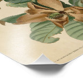 ヴィンテージオードボンイラストレーションブラックバードクーコオ フォトプリント            (角)