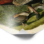 ヴィンテージオードボンイラストレーションワイルドターキー フォトプリント            (角)