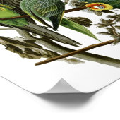 ヴィンテージオードボンカロライナインパレーケエポスタープリント ポスター (角)