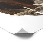 ヴィンテージオードボンターキーヴルチャーポスタープリント ポスター (角)